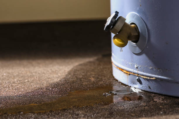 Best Mold removal after water damage  in East Brooklyn, CT