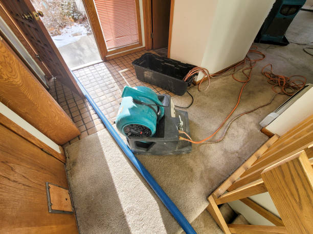 Best Water damage restoration mold remediation  in East Brooklyn, CT
