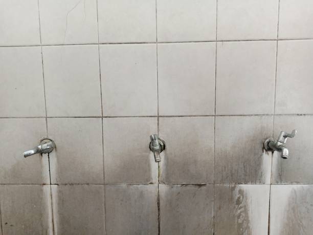 Reliable CT Water damage restoration Solutions