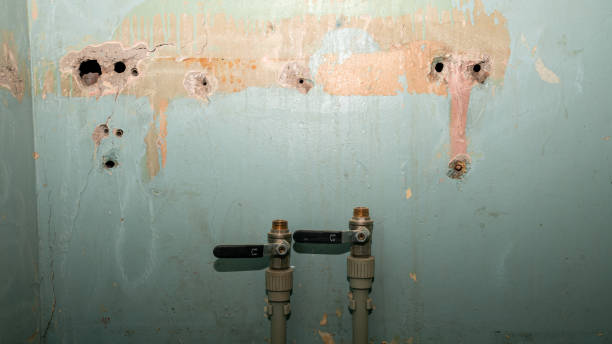 Best Emergency water extraction  in East Brooklyn, CT