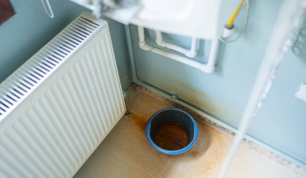 Best Water damage contractors near me  in East Brooklyn, CT