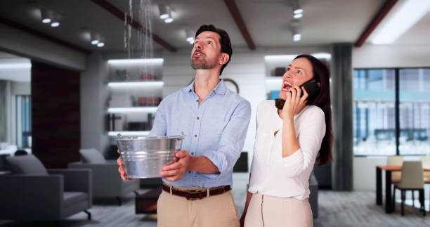Best Flood damage cleanup  in East Brooklyn, CT